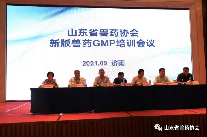 Shandong New GMP Training & Meeting